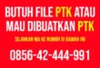 ptk ppg pai